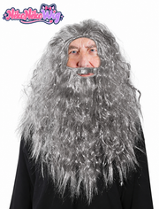Gray long wavy wizard wig and matching beard - SR collection