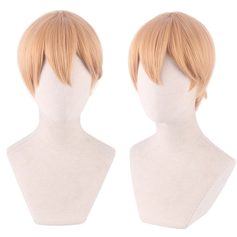 Kaguya-sama: Love Is War Chika, Kaguya, Ishigami & Shirogane Multi-Character Cosplay Wig