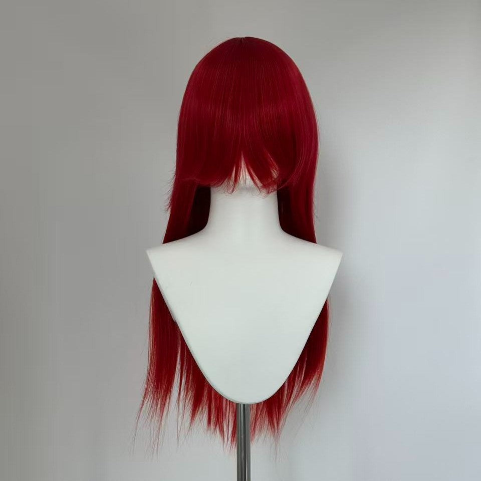 60cm Multi-Color Long Straight Cosplay Wig – Buckle Net Style